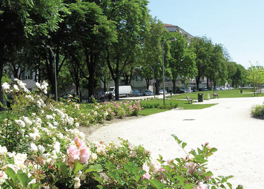Immagine 2